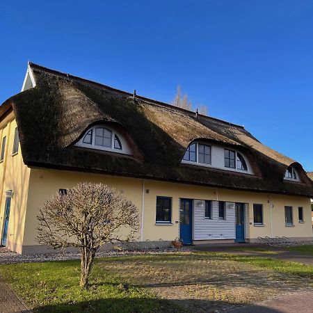 Вилла Reetdachhaus Holunder 2 Puddemin Экстерьер фото